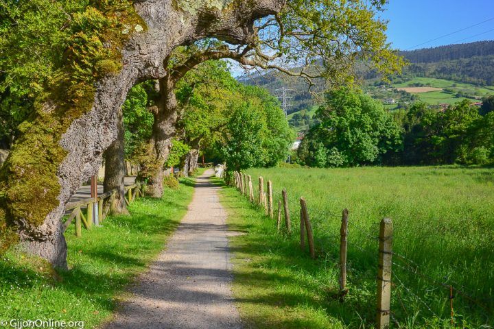 The green path of the Peña Francia River